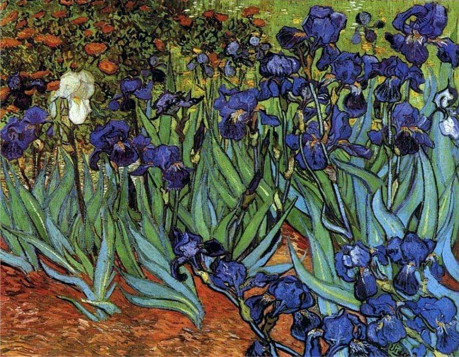A History on Vincent van Gogh: Great Artist Series - Great Artist Program